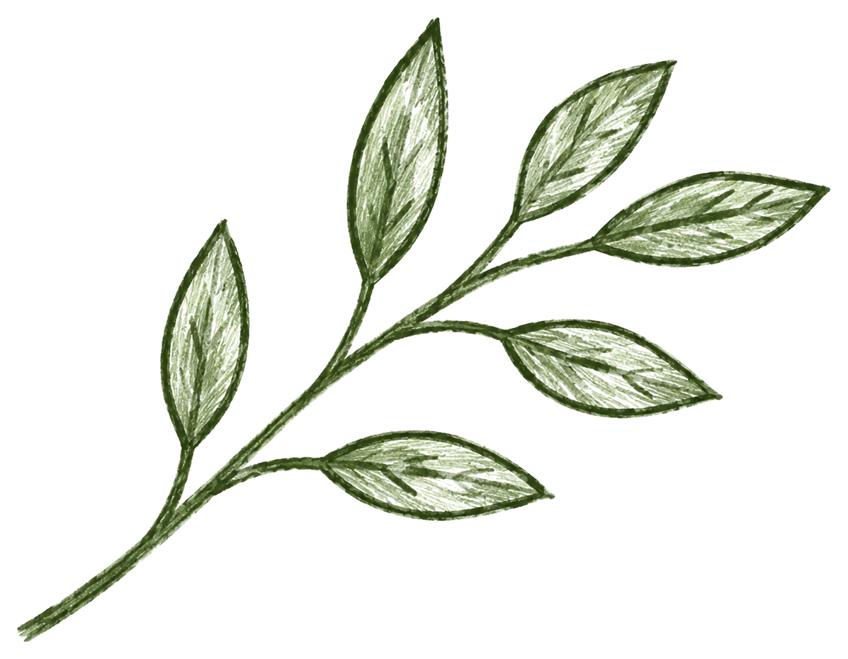 Leaf sprig